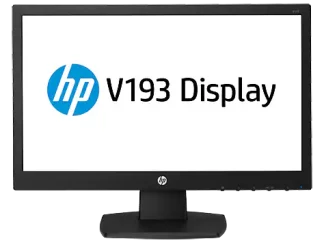 HP V193 Monitor Rental